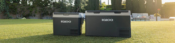 Electric Coolers