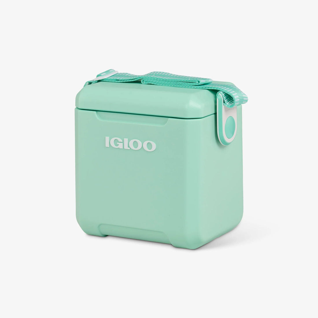 TAG-A-LONG TOO 11 Seafoam10L - EDC